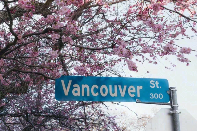 A blue street sign marked Vancouver St is framed by pink flowering branches.