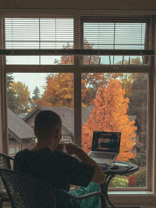 A seated person and an open laptop are silhouetted against large windows overlooking orange autumn trees.