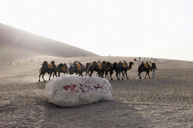 A line of camels and people crosses sandy ground beside a dune, behind a foreground stone with red lettering.