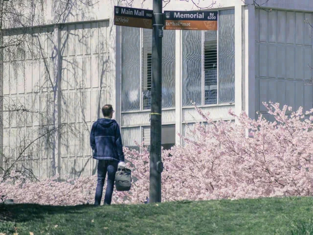 A person carrying a bag stands near street signs, with pink blossoms and a building behind them.