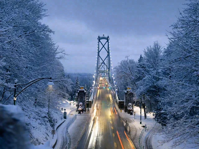 Bright traffic lights cross a suspension bridge between snow-covered trees beneath a blue-grey sky.